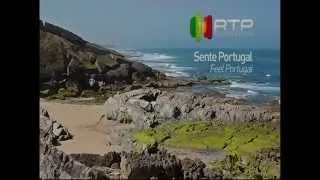 RTP Internacional - Separadores (2014)