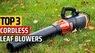 Top 5 Best Cordless Leaf Blowers 2024 ✅Cordless Leaf Clearing Magic✅