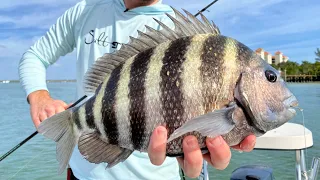 Fishing TEXAS RIGGED SHRIMP Around Docks (LIVE Fishing Trip)