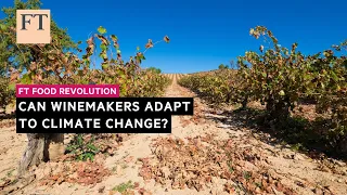 Can winemakers adapt to climate change? | FT Food Revolution