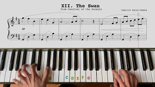 The Swan from Carnival of the Animals | Camille Saint Saens | Starlet (Easy)