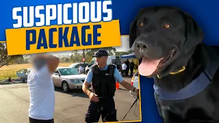 Sniffer Dog Uncovers Illegal Substances on Prison Visitor!