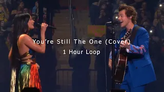 You're Still The One (Cover) 1 Hour Loop - Harry Styles, Kacey Musgraves