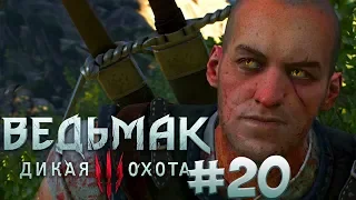 Прохождение Ведьмак 3: Дикая Охота (The Witcher 3: Wild Hunt) — Часть 20: Школа Кота