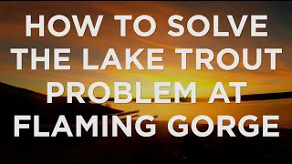 How to Solve the Small Lake Trout Problem at Flaming Gorge