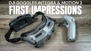 DJI Goggles Intergra and Motion 2 - First Flight and First Impressions