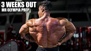 3 WEEKS OUT - MR OLYMPIA PREP - MATT GREGGO IFBB PRO