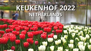 🇳🇱 Keukenhof 2022 - Netherlands   [4K]