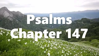 The Book of Psalms Chapter 147 - New King James Version (NKJV) - Audio Bible