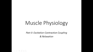 Muscle Physiology: Excitation-Contraction Coupling & Relaxation