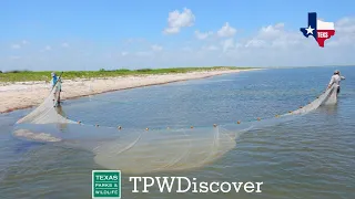 TPWDiscover | Field Day: Bag Seine with TPWD
