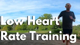 Will Low Heart Rate Running Help You Run Faster?