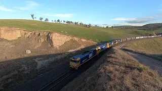 8149, 8238, 51 & 36 at Wilson's Siding NSW.  Tue 11th Aug 2020