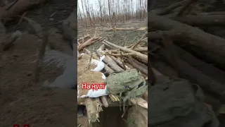 Серебрянський ліс на Луганщині зараз відчувається саме так