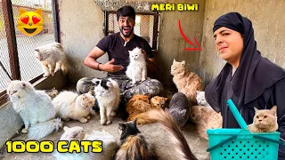 5 LAKH KI CATS K SATH | CATS WORLD | MISHKAT KHAN | THE FUN FIN