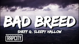 Sheff G - Bad Breed (Lyrics) ft. Sleepy Hallow