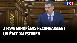 3 pays européens reconnaissent un État palestinien