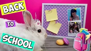 DIY |  ШКОЛЬНЫЕ ПРИНАДЛЕЖНОСТИ СВОИМИ РУКАМИ | СНОВА В ШКОЛУ | BACK TO SCHOOL | IRA M