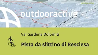 Slittino in Alto Adige: Pista da slittino di Resciesa