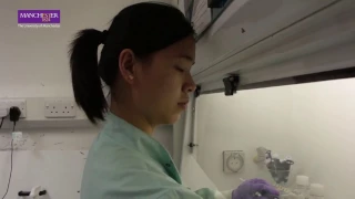 Life as an international Biochemistry PhD student: Wenxia Qin