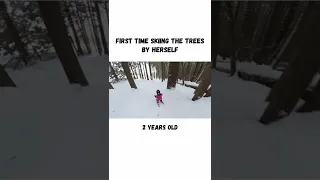 2 Year Old Skis Trees  Father Daughter Skiing #cute #toddler #dad