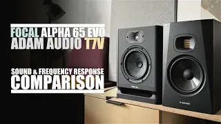 DSAUDIO.review ||  Focal Alpha 65 EVO vs Adam Audio T7V  || sound.DEMO