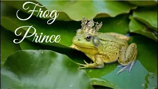 Frog Prince |story telling english for kids|read along books for children|story reading in english