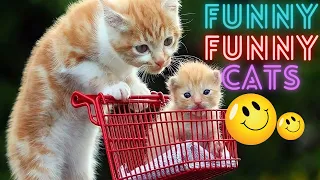 2 HOUR BEST FUNNY CATS COMPILATION 2023 😂| The Best Funny And Cute Cat Videos 9 !😸 😸