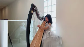 Z-Jig/Brian Boru’s March | Harp practice by Milin