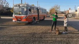 VIVEN y VIAJAN en un COLECTIVO MOTORHOME