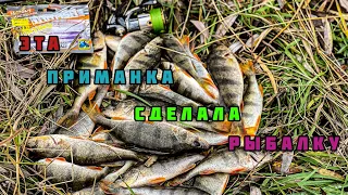 ЭТА ПРИМАНКА СДЕЛАЛА РЫБАЛКУ!!! ЛОВЛЯ ОКУНЯ НА ДЖИГРИГ