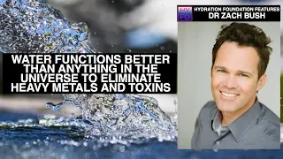 This Solvent Eliminates Toxins: Dr. Zach Bush in Doctors Talk from Hydration Foundation