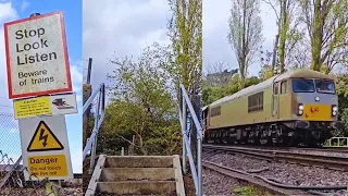 Class 69 at Sandhills Lane (Footpath) Level Crossing, Surrey