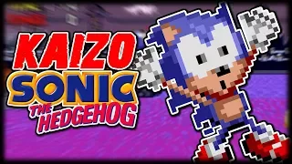 KAIZO SONIC THE HEDGEHOG?!