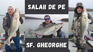 Pescuit la salau pe bratul Sf. Gheorghe alaturi de unul din cei mai buni pescari de spinning GFT