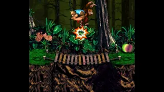 DKC 4 The Kongs' Return - West Swamp Trail Forest - Demo - (Fan Game by DKC4 Team)