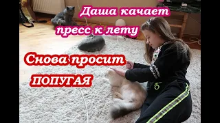 VLOG   Купим ли снова ПОПУГАЯ 🤔