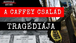 ÁLDOZAT vagy GONOSZ ELME? - Ámokfutás a Caffey család házában