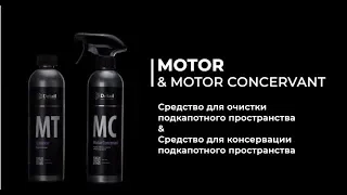 Очистка двигателя и консервация составами Motor и Motor Concervant | DETAIL Sense  Different