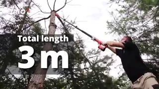 Branch cutting at height