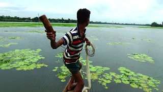 গ্রামের বিলে অসাধারণ প্রতিভা নিয়ে মাছ ধরা দেখুন / fishing