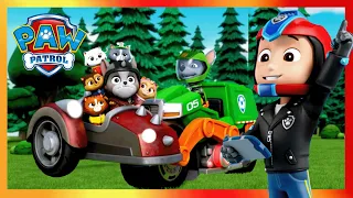 Les chiots aident le maire Humdinger🐈 à retrouver les chatons disparus! - PAW Patrol