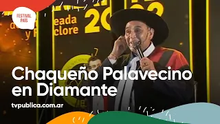 Amor Salvaje y La ley y la trampa por el Chaqueño Palavecino en Diamante - Festival País 2022