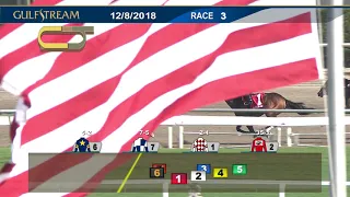 Gulfstream Park Carrera 3 (The 5th Running of The Buffalo Man) - 8 de Diciembre 2018