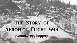 The Story of Aeroflot Flight 593 | A Short Documentary | Fascinating Horror