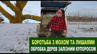 №163 Боротьба з мохом на деревах та лишаями. Обробка дерев залізним купоросом