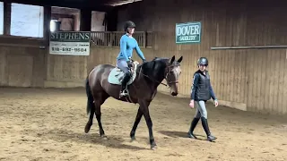 BROADWAY LINNIE (first ride) - Adoptable Standardbred Mare - New Vocations