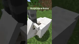 Krzycząca koza #shorts #minecraft