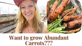 How To Grow ABUNDANT Carrots! Tips & Tricks