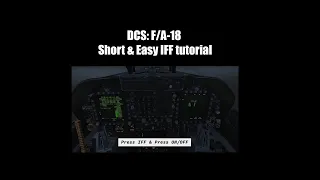 DCS: F/A-18  Short & Easy IFF tutorial